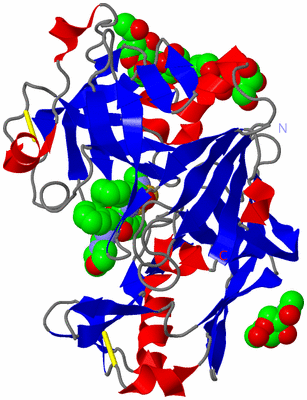 Image Asymmetric Unit