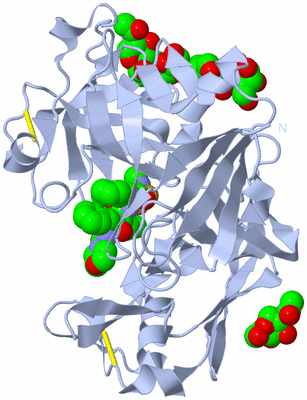 Image Biological Unit 1
