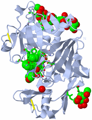 Image Biol. Unit 1 - sites