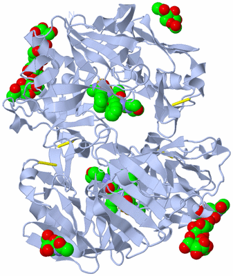 Image Biological Unit 2