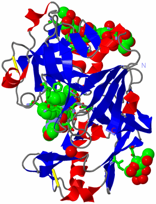 Image Asym. Unit - sites
