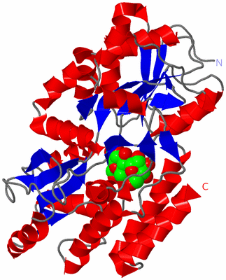 Image Asym./Biol. Unit