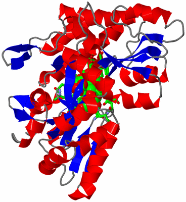 Image Asym./Biol. Unit - sites