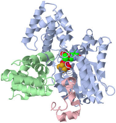 Image Biological Unit 1