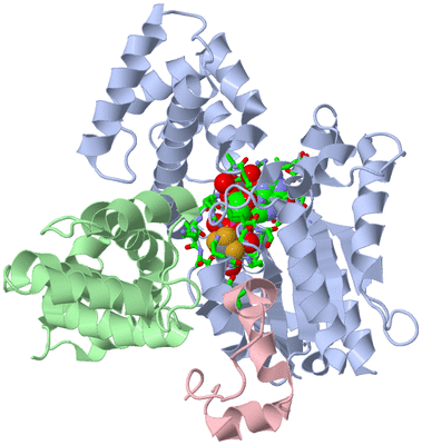 Image Biol. Unit 1 - sites