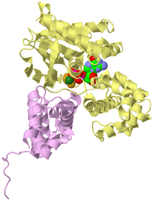 Image Biological Unit 2