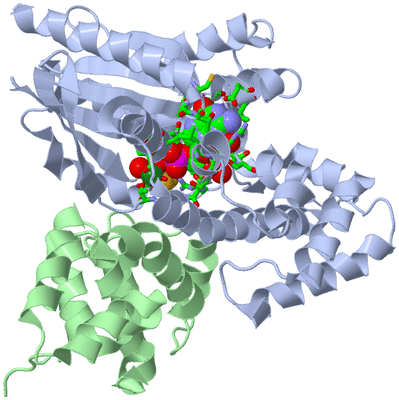 Image Biol. Unit 1 - sites