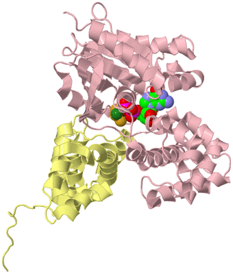 Image Biological Unit 2