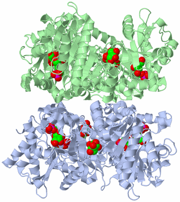 Image Biological Unit 1