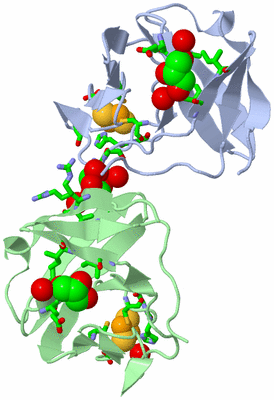 Image Asym./Biol. Unit - sites