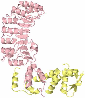 Image Biological Unit 2