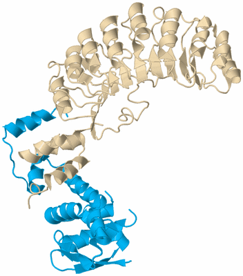 Image Biological Unit 5