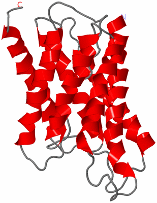 Image Asymmetric Unit