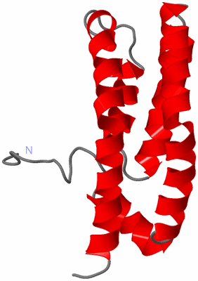 Image NMR Structure - model 1