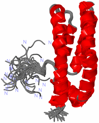 Image NMR Structure - all models