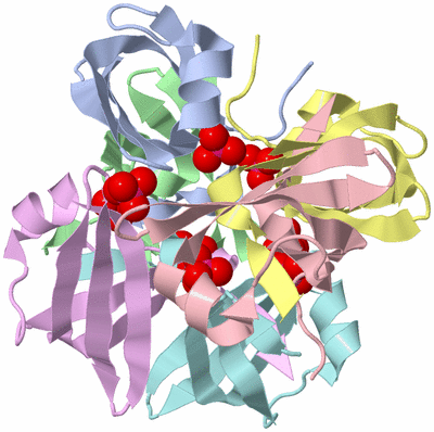 Image Biological Unit 1