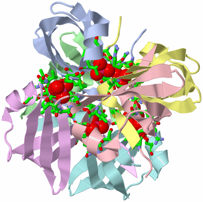 Image Biol. Unit 1 - sites