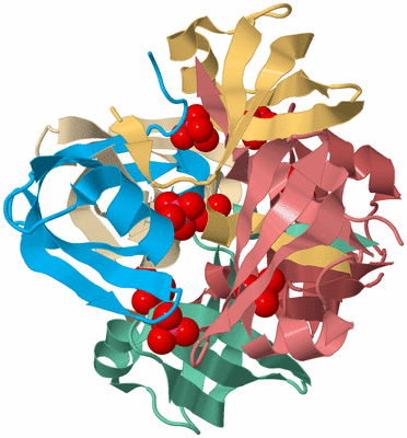 Image Biological Unit 2