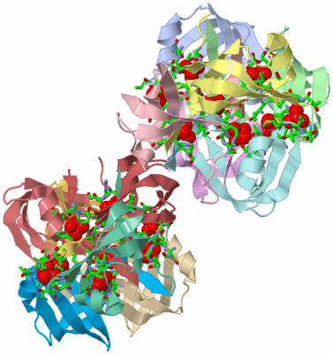 Image Asym. Unit - sites