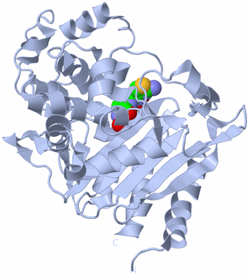 Image Biological Unit 1