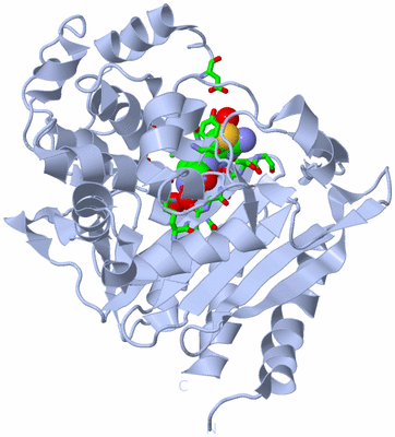 Image Biol. Unit 1 - sites