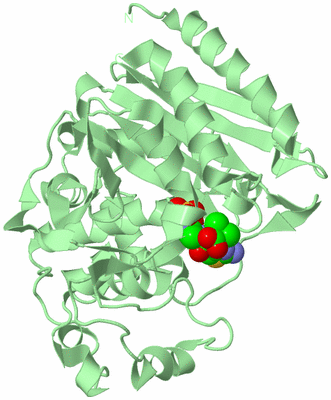 Image Biological Unit 2