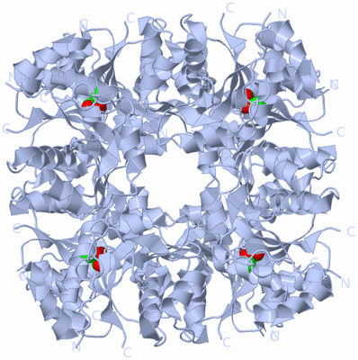 Image Biological Unit 1