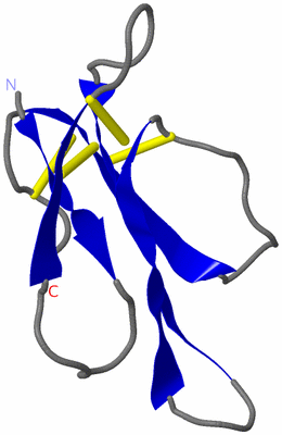 Image NMR Structure - model 1