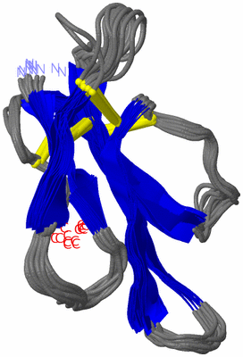Image NMR Structure - all models