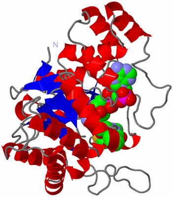 Image Asym./Biol. Unit