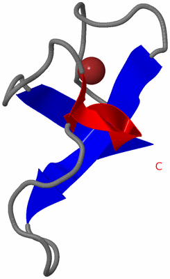 Image NMR Structure - model 1