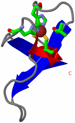Image NMR Structure - model 1, sites