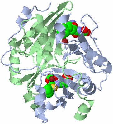 Image Biological Unit 1