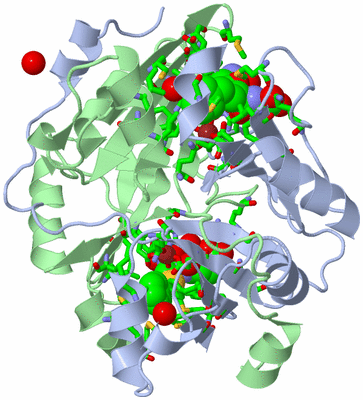 Image Biol. Unit 1 - sites