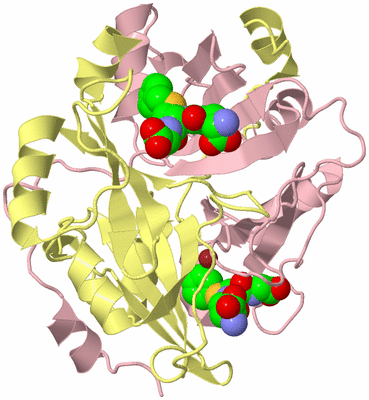 Image Biological Unit 2