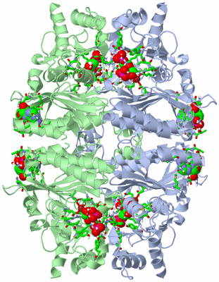 Image Biol. Unit 1 - sites