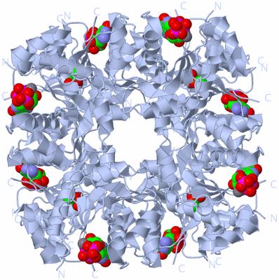 Image Biological Unit 1