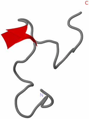 Image NMR Structure - model 1