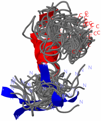 Image NMR Structure - all models