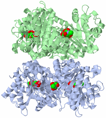 Image Biological Unit 1