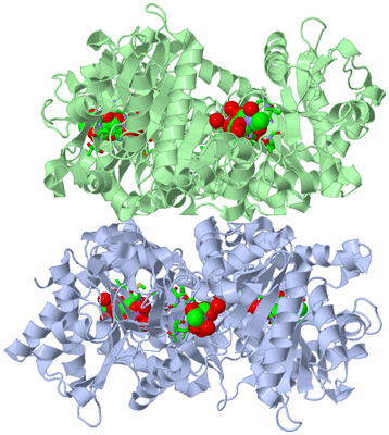 Image Biol. Unit 1 - sites