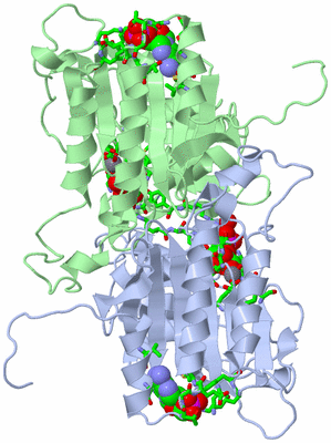 Image Asym. Unit - sites