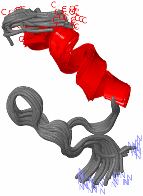 Image NMR Structure - all models