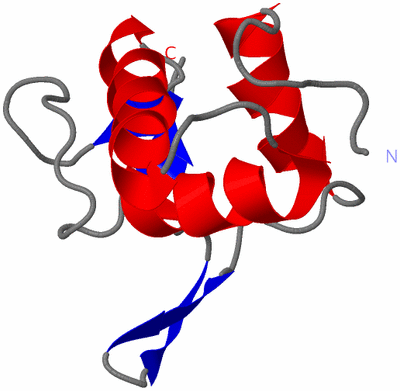 Image NMR Structure - model 1