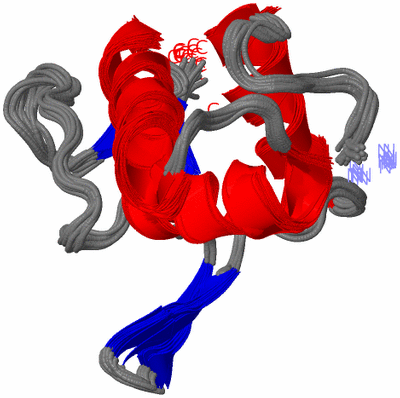 Image NMR Structure - all models