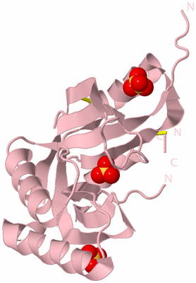 Image Biological Unit 3