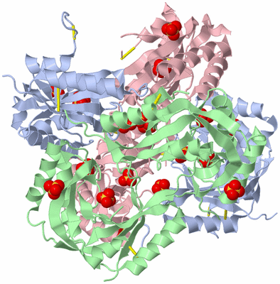 Image Biological Unit 4