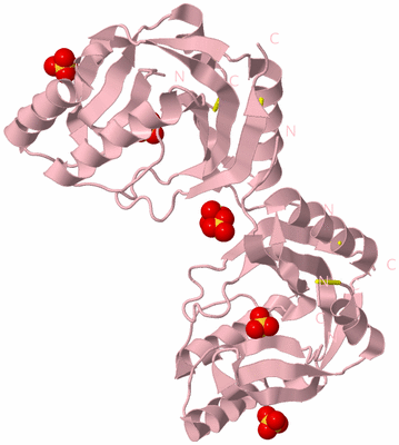 Image Biological Unit 5