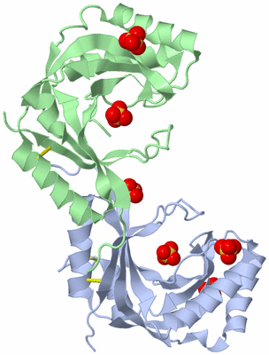 Image Biological Unit 6