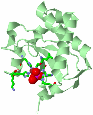 Image Biol. Unit 1 - sites